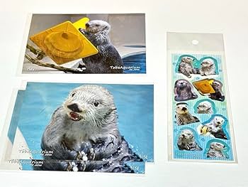 鳥羽水族館　ラッコキラ　レアカード 鳥羽水族館 コレクションカード キラ・メイ レアカード ラッコ